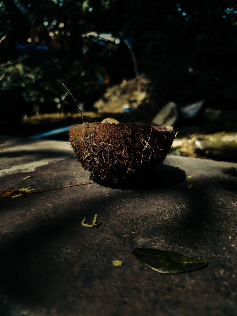 Dried coconut on a stone surface